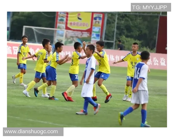 深圳足球队在总决赛中的意识表现分析与反思